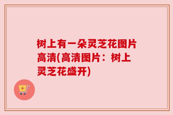 树上有一朵灵芝花图片高清(高清图片:树上灵芝花盛开) 树上有一朵灵芝花图片高清(高清图片:树上灵芝花盛开)