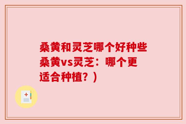 桑黄和灵芝哪个好种些桑黄vs灵芝:哪个更适合种植?) 桑黄和灵芝哪个好种些桑黄vs灵芝:哪个更适合种植?)