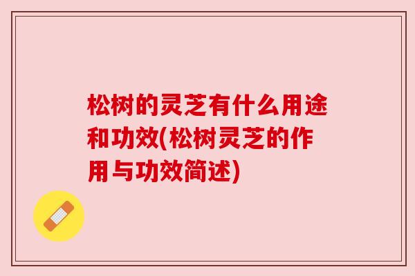 松树的灵芝有什么用途和功效(松树灵芝的作用与功效简述)