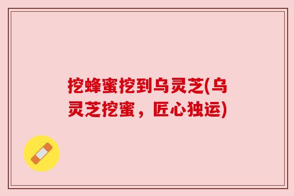 挖蜂蜜挖到乌灵芝(乌灵芝挖蜜，匠心独运)