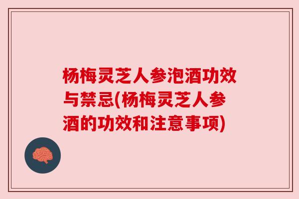 杨梅灵芝人参泡酒功效与禁忌(杨梅灵芝人参酒的功效和注意事项) 杨梅灵芝人参泡酒功效与禁忌(杨梅灵芝人参酒的功效和注意事项)