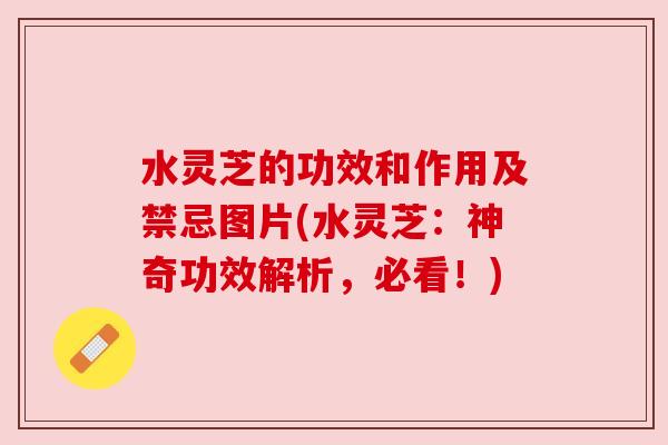 水灵芝的功效和作用及禁忌图片(水灵芝:神奇功效解析,必看!) 水灵芝的功效和作用及禁忌图片(水灵芝:神奇功效解析,必看!)