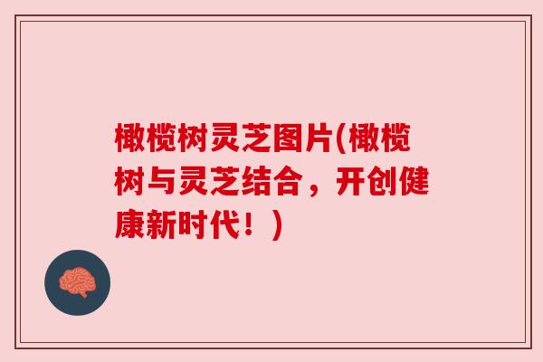 橄榄树灵芝图片(橄榄树与灵芝结合,开创健康新时代!) 橄榄树灵芝图片(橄榄树与灵芝结合,开创健康新时代!)