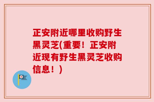 正安附近哪里收购野生黑灵芝(重要!正安附近现有野生黑灵芝收购信息!) 正安附近哪里收购野生黑灵芝(重要!正安附近现有野生黑灵芝收购信息!)