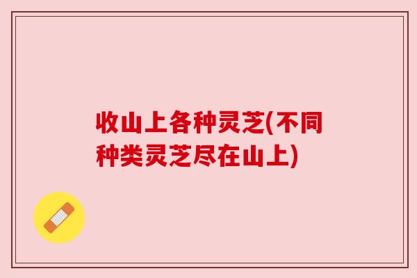 收山上各种灵芝(不同种类灵芝尽在山上) 收山上各种灵芝(不同种类灵芝尽在山上)
