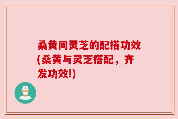 桑黄同灵芝的配搭功效(桑黄与灵芝搭配,齐发功效!) 桑黄同灵芝的配搭功效(桑黄与灵芝搭配,齐发功效!)
