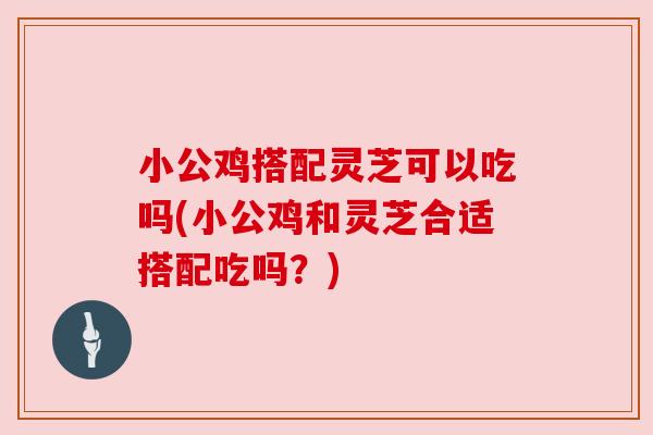 小公鸡搭配灵芝可以吃吗(小公鸡和灵芝合适搭配吃吗？)