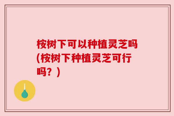 桉树下可以种植灵芝吗(桉树下种植灵芝可行吗？)