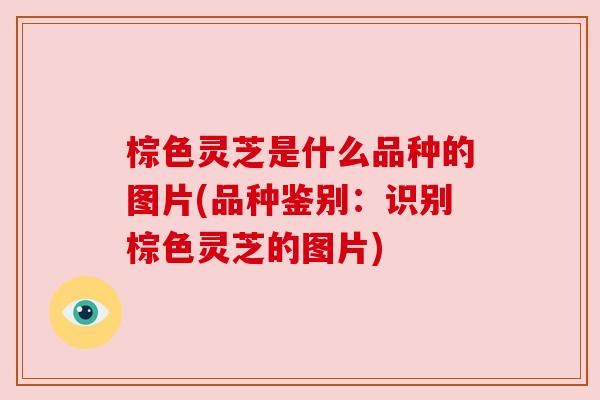 棕色灵芝是什么品种的图片(品种鉴别:识别棕色灵芝的图片) 棕色灵芝是什么品种的图片(品种鉴别:识别棕色灵芝的图片)