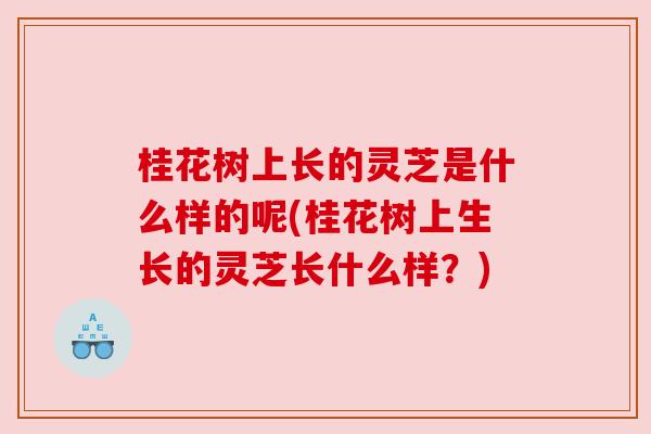 桂花树上长的灵芝是什么样的呢(桂花树上生长的灵芝长什么样?) 桂花树上长的灵芝是什么样的呢(桂花树上生长的灵芝长什么样?)