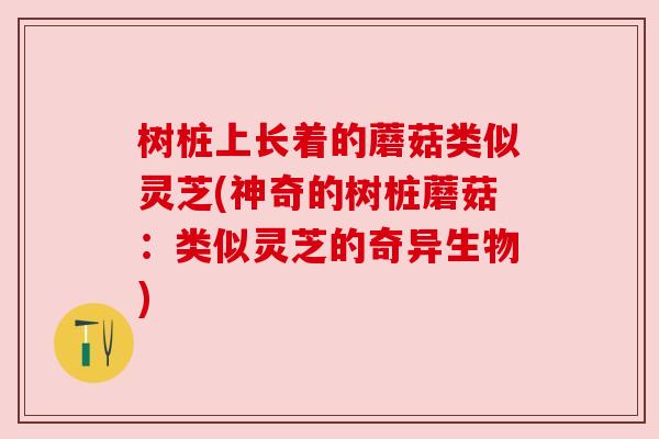 树桩上长着的蘑菇类似灵芝(神奇的树桩蘑菇:类似灵芝的奇异生物) 树桩上长着的蘑菇类似灵芝(神奇的树桩蘑菇:类似灵芝的奇异生物)