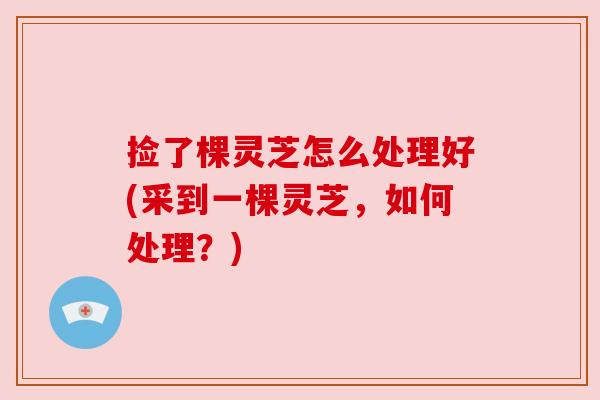 捡了棵灵芝怎么处理好(采到一棵灵芝,如何处理?) 捡了棵灵芝怎么处理好(采到一棵灵芝,如何处理?)