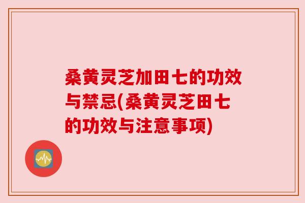 桑黄灵芝加田七的功效与禁忌(桑黄灵芝田七的功效与注意事项)
