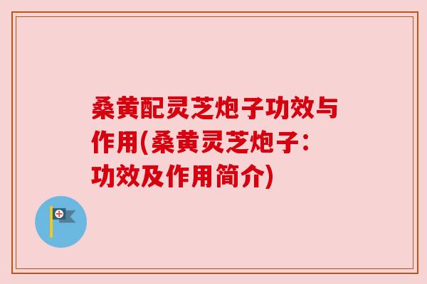 桑黄配灵芝炮子功效与作用(桑黄灵芝炮子:功效及作用简介) 桑黄配灵芝炮子功效与作用(桑黄灵芝炮子:功效及作用简介)