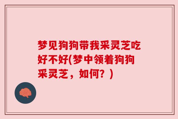 梦见狗狗带我采灵芝吃好不好(梦中领着狗狗采灵芝，如何？)