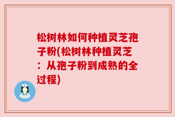 松树林如何种植灵芝孢子粉(松树林种植灵芝:从孢子粉到成熟的全过程) 松树林如何种植灵芝孢子粉(松树林种植灵芝:从孢子粉到成熟的全过程)