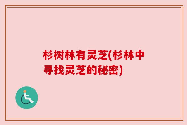 杉树林有灵芝(杉林中寻找灵芝的秘密) 杉树林有灵芝(杉林中寻找灵芝的秘密)
