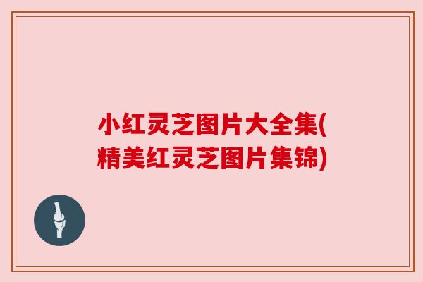 小红灵芝图片大全集(精美红灵芝图片集锦)