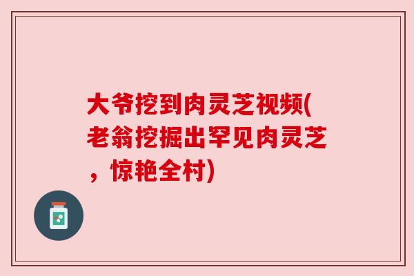 大爷挖到肉灵芝视频(老翁挖掘出罕见肉灵芝,惊艳全村) 大爷挖到肉灵芝视频(老翁挖掘出罕见肉灵芝,惊艳全村)