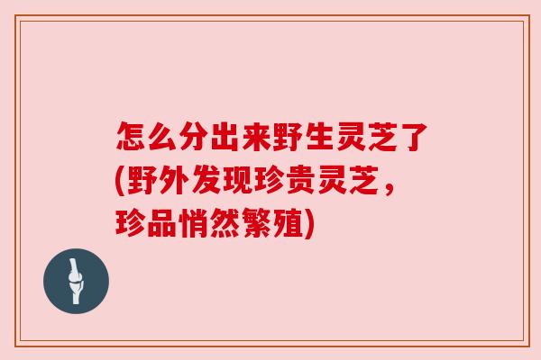 怎么分出来野生灵芝了(野外发现珍贵灵芝,珍品悄然繁殖) 怎么分出来野生灵芝了(野外发现珍贵灵芝,珍品悄然繁殖)