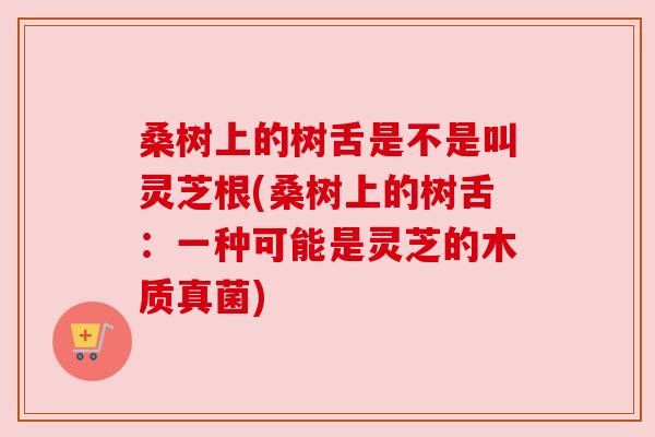 桑树上的树舌是不是叫灵芝根(桑树上的树舌:一种可能是灵芝的木质真菌) 桑树上的树舌是不是叫灵芝根(桑树上的树舌:一种可能是灵芝的木质真菌)