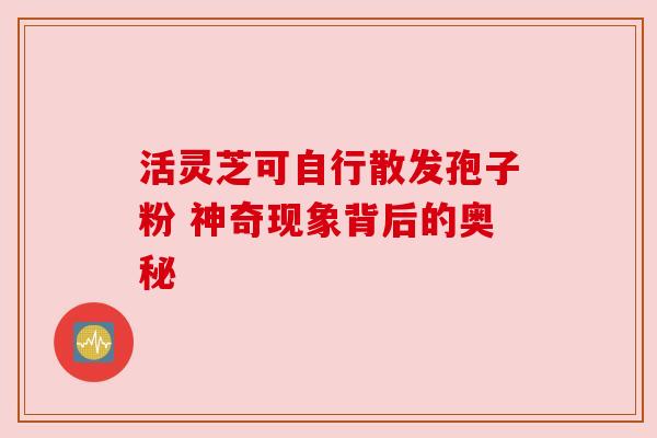 活灵芝可自行散发孢子粉 神奇现象背后的奥秘 活灵芝可自行散发孢子粉 神奇现象背后的奥秘