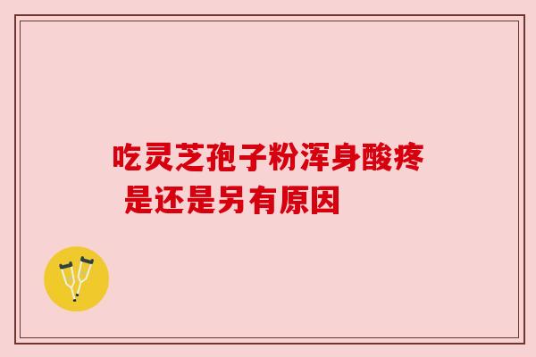 吃灵芝孢子粉浑身酸疼 是还是另有原因 吃灵芝孢子粉浑身酸疼 是还是另有原因