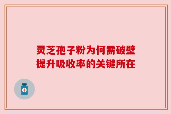 灵芝孢子粉为何需破壁提升吸收率的关键所在