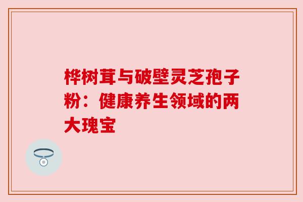 桦树茸与破壁灵芝孢子粉：健康养生领域的两大瑰宝
