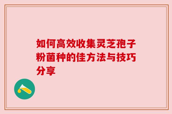 如何高效收集灵芝孢子粉菌种的佳方法与技巧分享 如何高效收集灵芝孢子粉菌种的佳方法与技巧分享