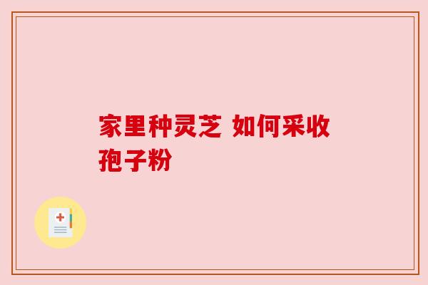 家里种灵芝 如何采收孢子粉 家里种灵芝 如何采收孢子粉
