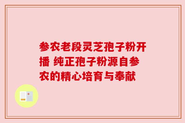 参农老段灵芝孢子粉开播 纯正孢子粉源自参农的精心培育与奉献 参农老段灵芝孢子粉开播 纯正孢子粉源自参农的精心培育与奉献