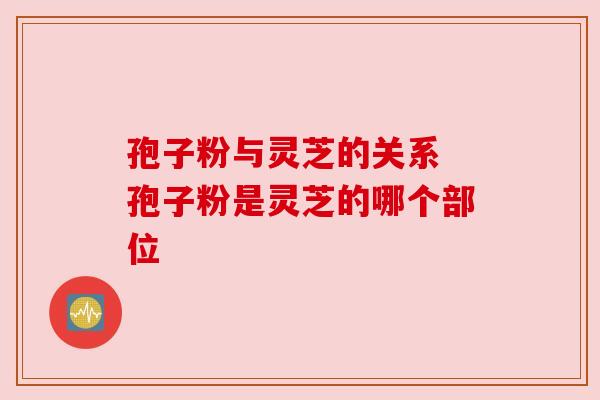 孢子粉与灵芝的关系 孢子粉是灵芝的哪个部位