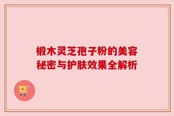 椴木灵芝孢子粉的美容秘密与护肤效果全解析