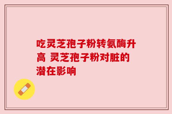 吃灵芝孢子粉转氨酶升高 灵芝孢子粉对脏的潜在影响