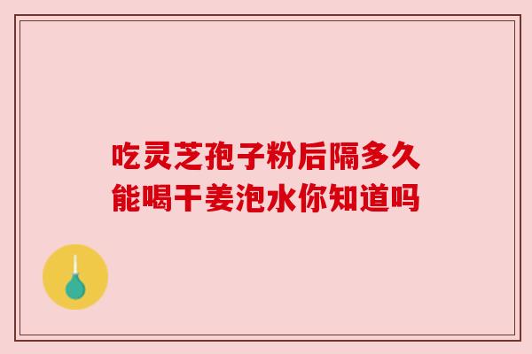 吃灵芝孢子粉后隔多久能喝干姜泡水你知道吗 吃灵芝孢子粉后隔多久能喝干姜泡水你知道吗