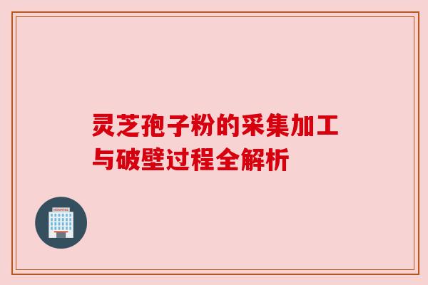 灵芝孢子粉的采集加工与破壁过程全解析 灵芝孢子粉的采集加工与破壁过程全解析