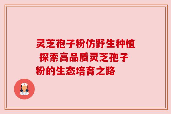 灵芝孢子粉仿野生种植 探索高品质灵芝孢子粉的生态培育之路 灵芝孢子粉仿野生种植 探索高品质灵芝孢子粉的生态培育之路