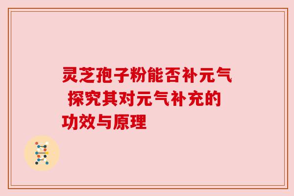 灵芝孢子粉能否补元气 探究其对元气补充的功效与原理