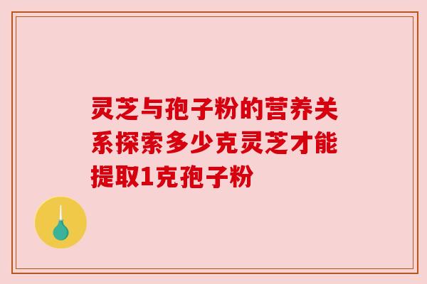 灵芝与孢子粉的营养关系探索多少克灵芝才能提取1克孢子粉 灵芝与孢子粉的营养关系探索多少克灵芝才能提取1克孢子粉