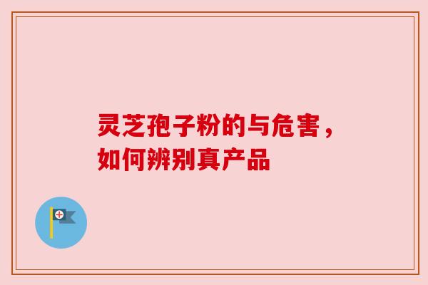 灵芝孢子粉的与危害,如何辨别真产品 灵芝孢子粉的与危害,如何辨别真产品