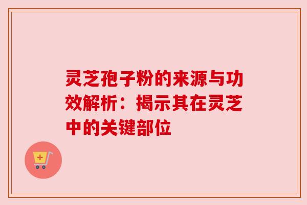 灵芝孢子粉的来源与功效解析：揭示其在灵芝中的关键部位