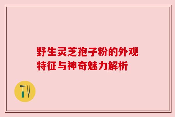 野生灵芝孢子粉的外观特征与神奇魅力解析 野生灵芝孢子粉的外观特征与神奇魅力解析