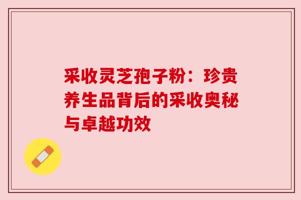 采收灵芝孢子粉:珍贵养生品背后的采收奥秘与卓越功效 采收灵芝孢子粉:珍贵养生品背后的采收奥秘与卓越功效