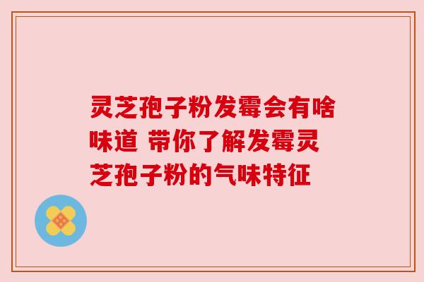 灵芝孢子粉发霉会有啥味道 带你了解发霉灵芝孢子粉的气味特征 灵芝孢子粉发霉会有啥味道 带你了解发霉灵芝孢子粉的气味特征
