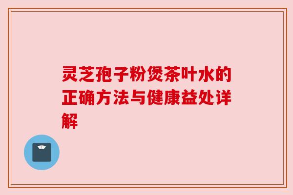 灵芝孢子粉煲茶叶水的正确方法与健康益处详解
