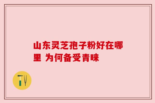 山东灵芝孢子粉好在哪里 为何备受青睐 山东灵芝孢子粉好在哪里 为何备受青睐