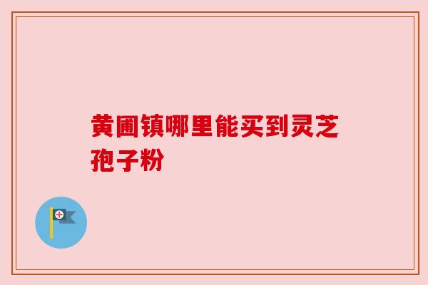黄圃镇哪里能买到灵芝孢子粉