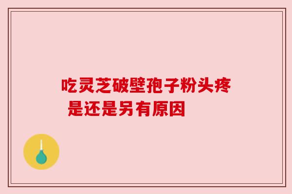 吃灵芝破壁孢子粉头疼 是还是另有原因 吃灵芝破壁孢子粉头疼 是还是另有原因