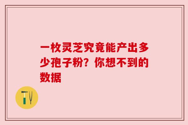 一枚灵芝究竟能产出多少孢子粉？你想不到的数据